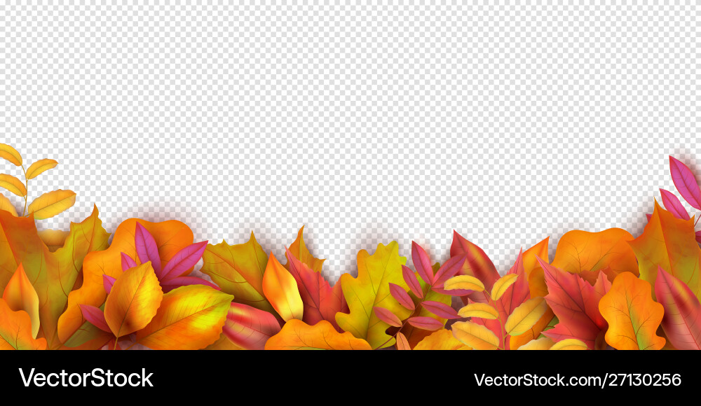 Autumn banner fall leaves background realistic Autumn banner fall leaves background realistic vector image