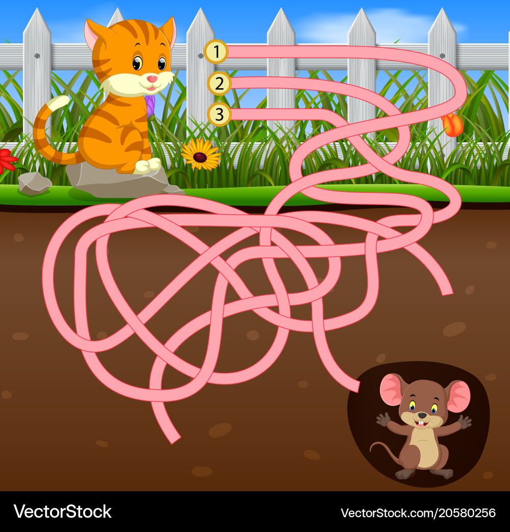 Help the cat to find mouse vector image