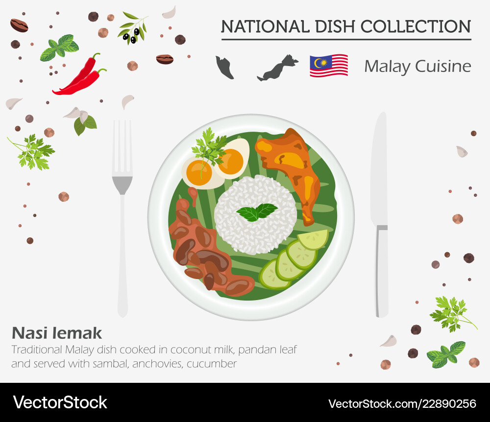 Malayan cuisine asian national dish collection Malayan cuisine asian national dish collection vector image