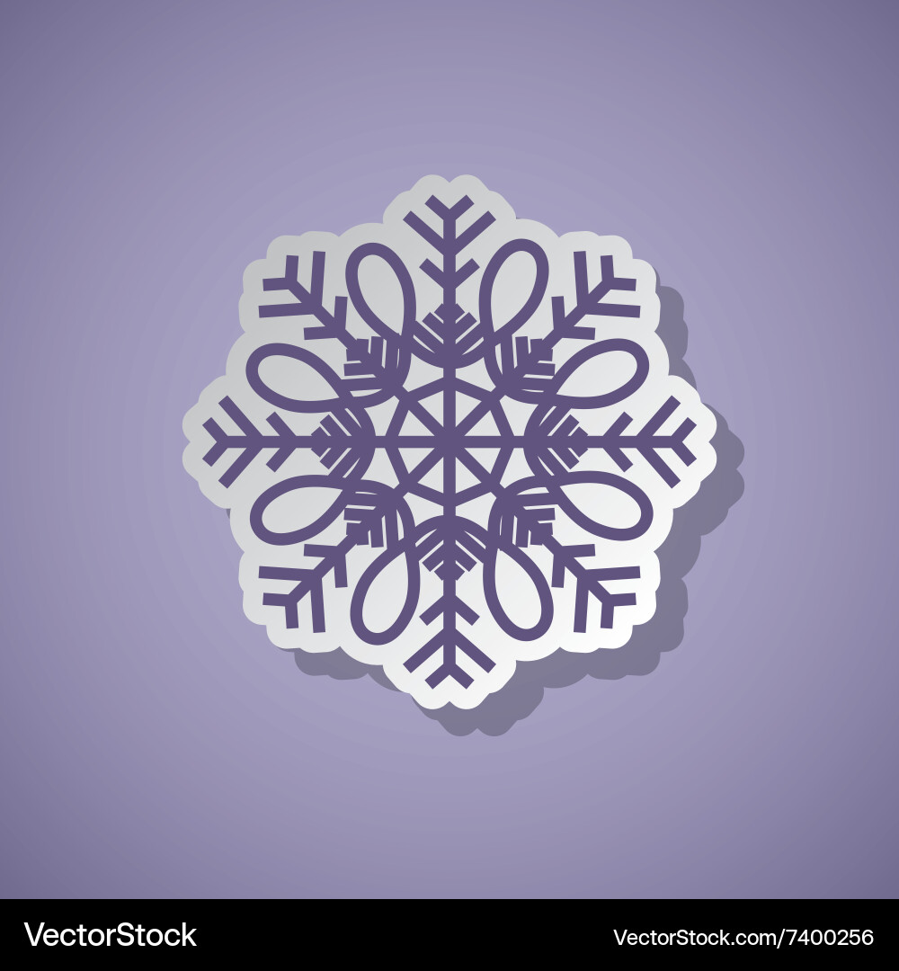 Snowflake concept design vector image