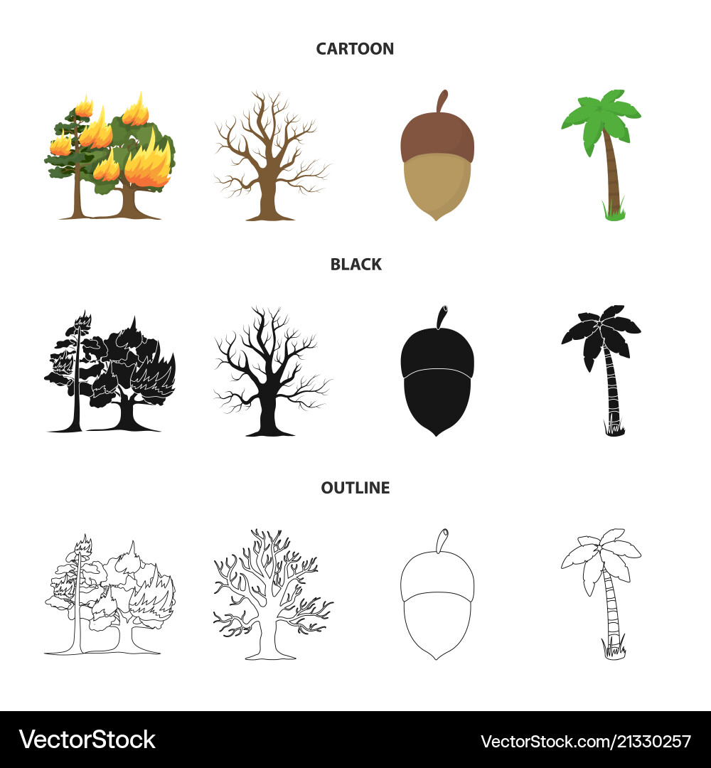 Burning tree palm acorn dry treeforest set Vector Image