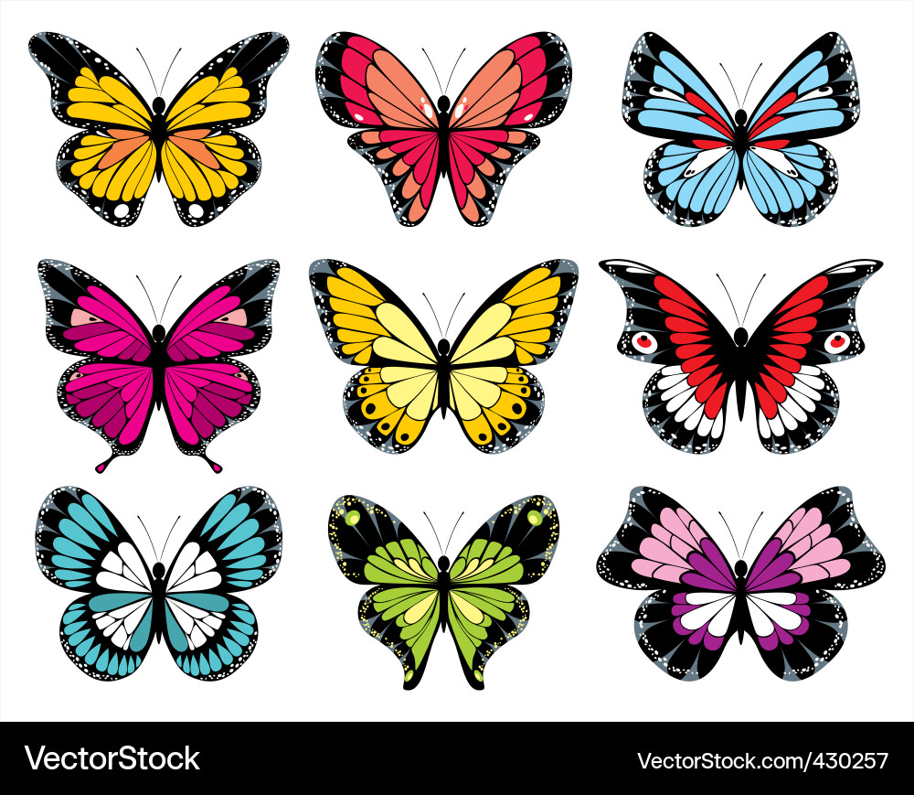 Butterfly collection vector image