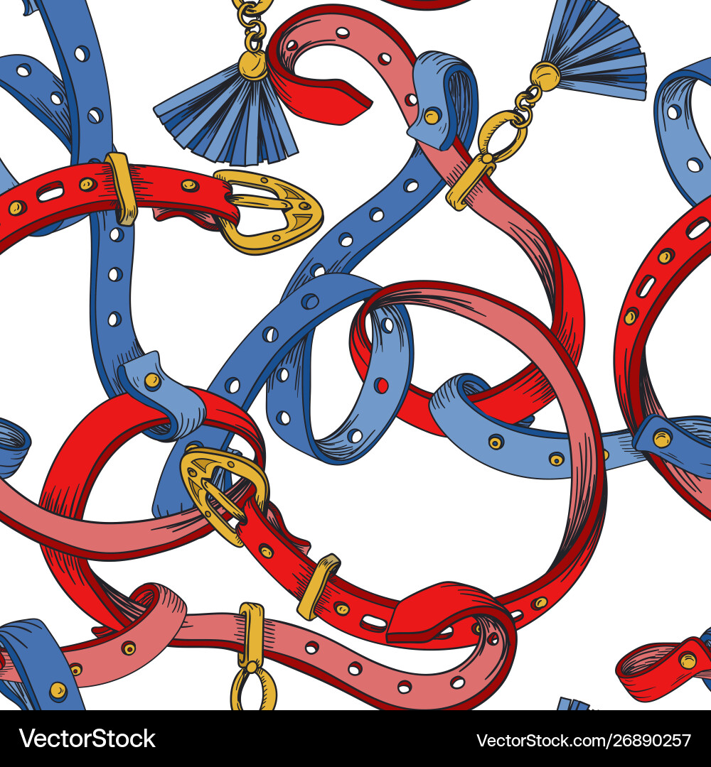 Elegant Chain and Belt Pattern vector image