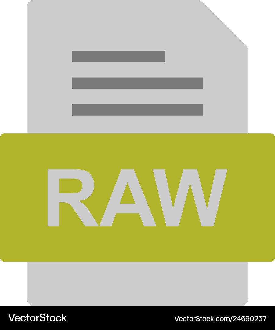 Raw file document icon Vector Image