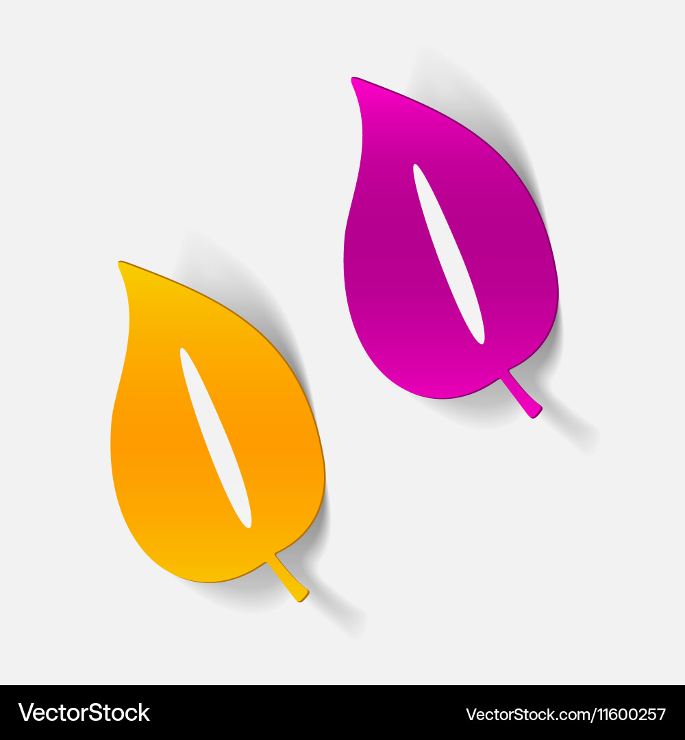 Realistic design element vector image