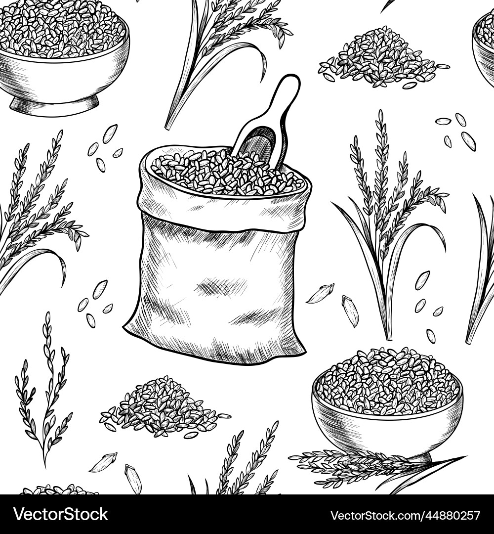 Rice seamless pattern Rice seamless pattern Vector Image