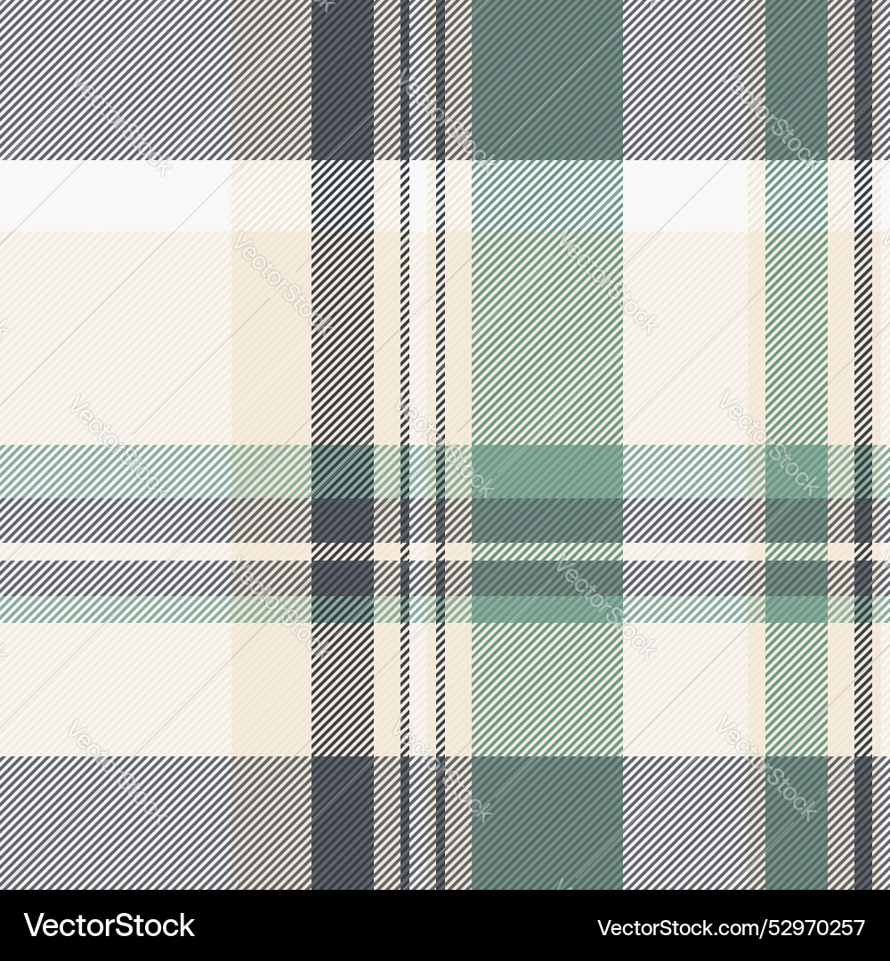 Seamless background texture of tartan pattern Seamless background texture of tartan pattern vector image