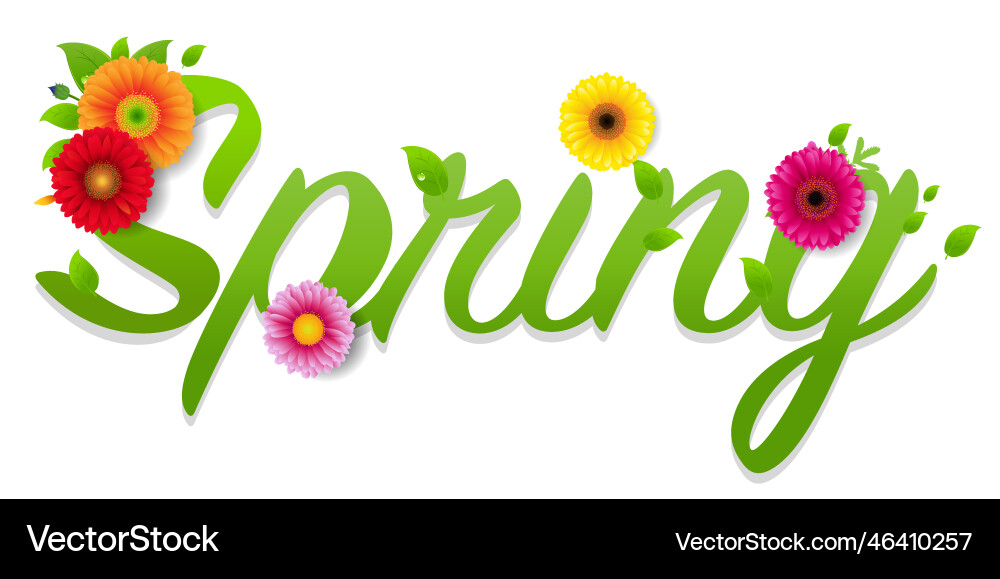 Spring text with gerber isolated white background vector image