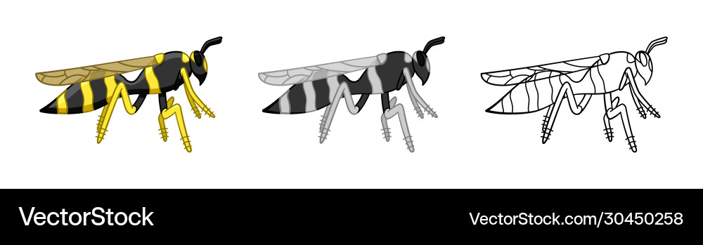 Profile view wasps set in different styles Vector Image