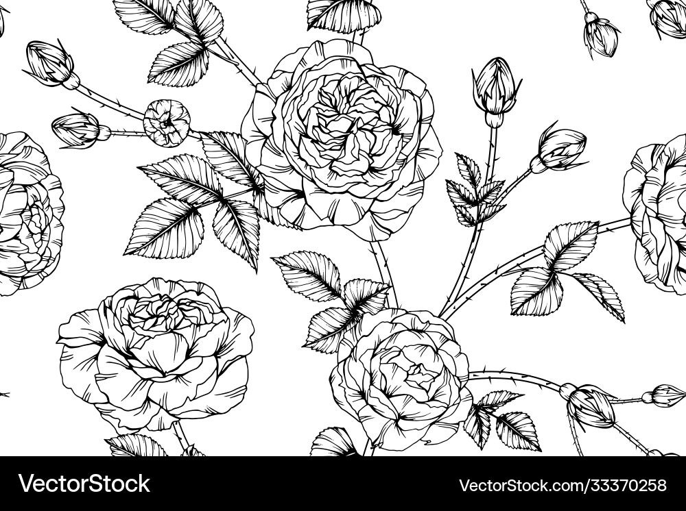Rose Floral Seamless Pattern Vector Image