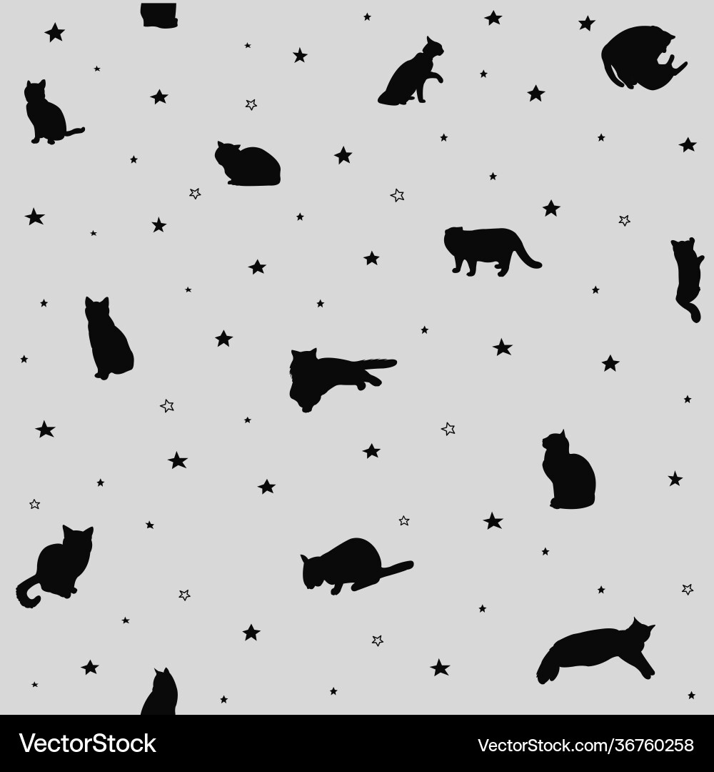 Seamless pattern with cats and stars Seamless pattern with cats and stars vector image