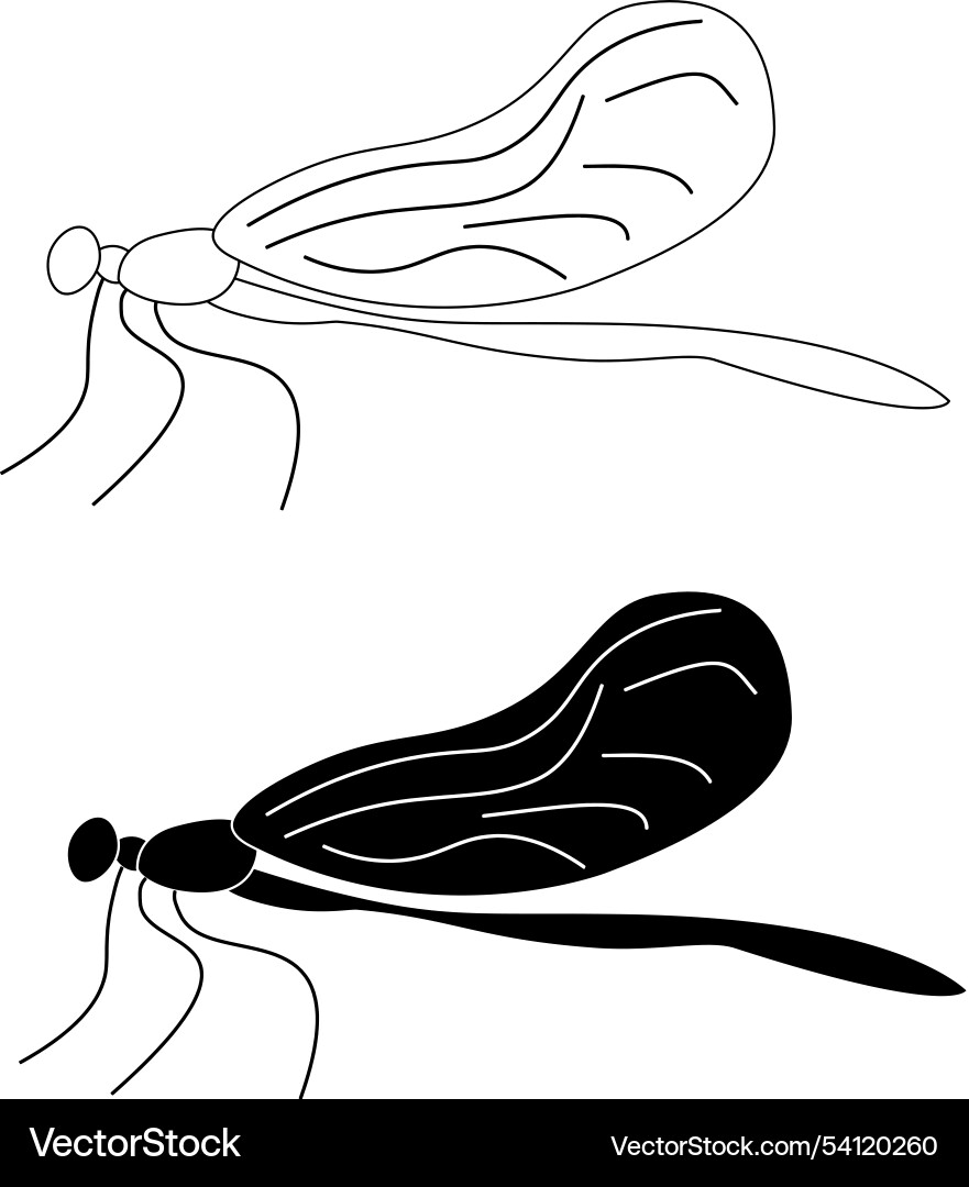 Dragonfly isolated object on white background Vector Image