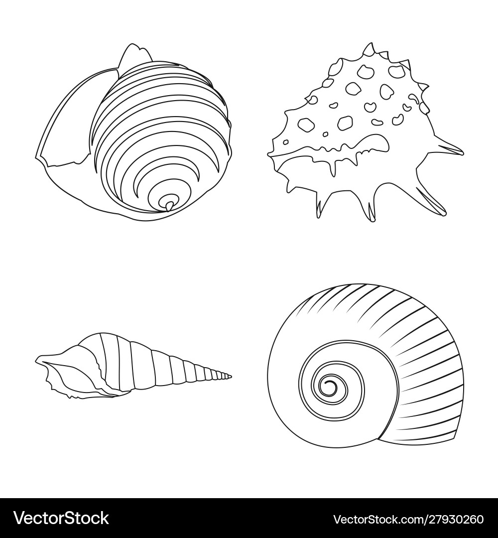 Isolated object exotic and seafood symbol set Vector Image