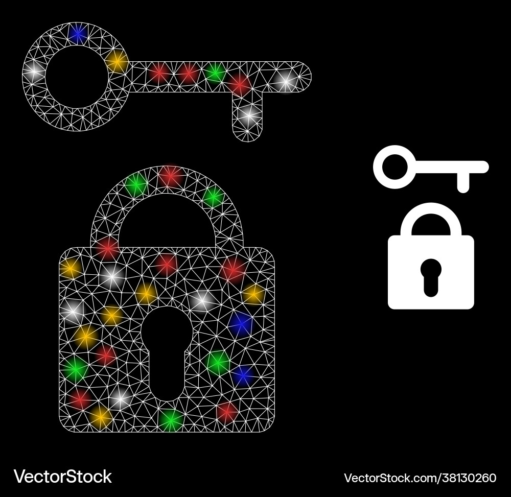 Mesh lock key glare icon with multicolored Vector Image