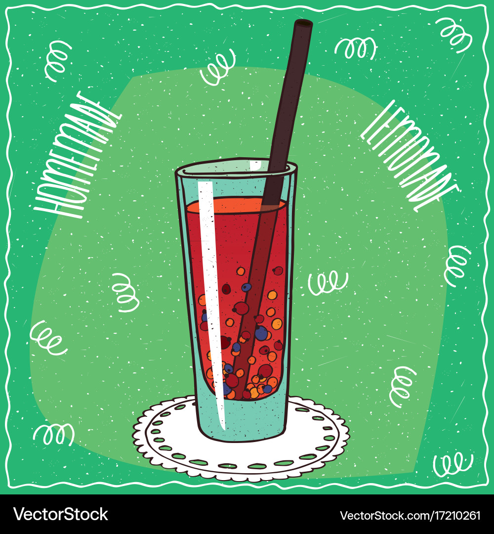 Homemade berry lemonade in handmade cartoon style Vector Image