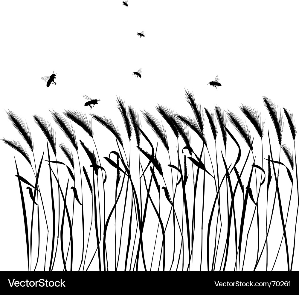 Schwarzes Gras Silhouetten Vektorbild