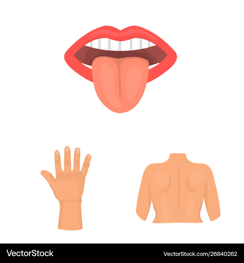 Design body and part symbol set Design body and part symbol set vector image