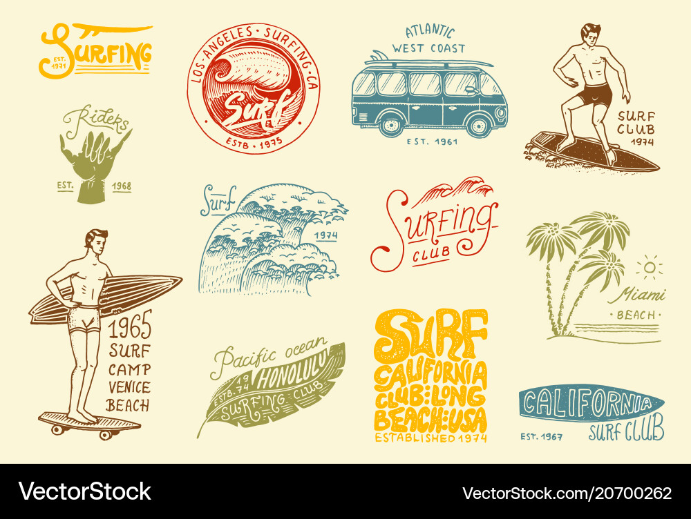 Surf badge and wave palm tree ocean tropics vector image