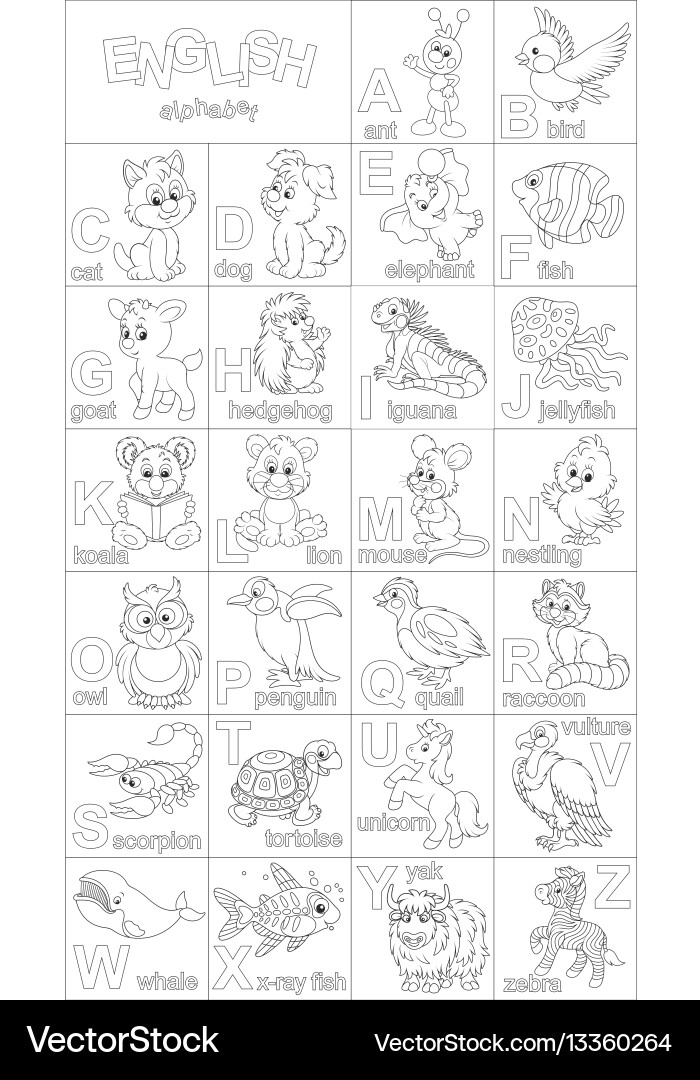 English alphabet English alphabet vector image