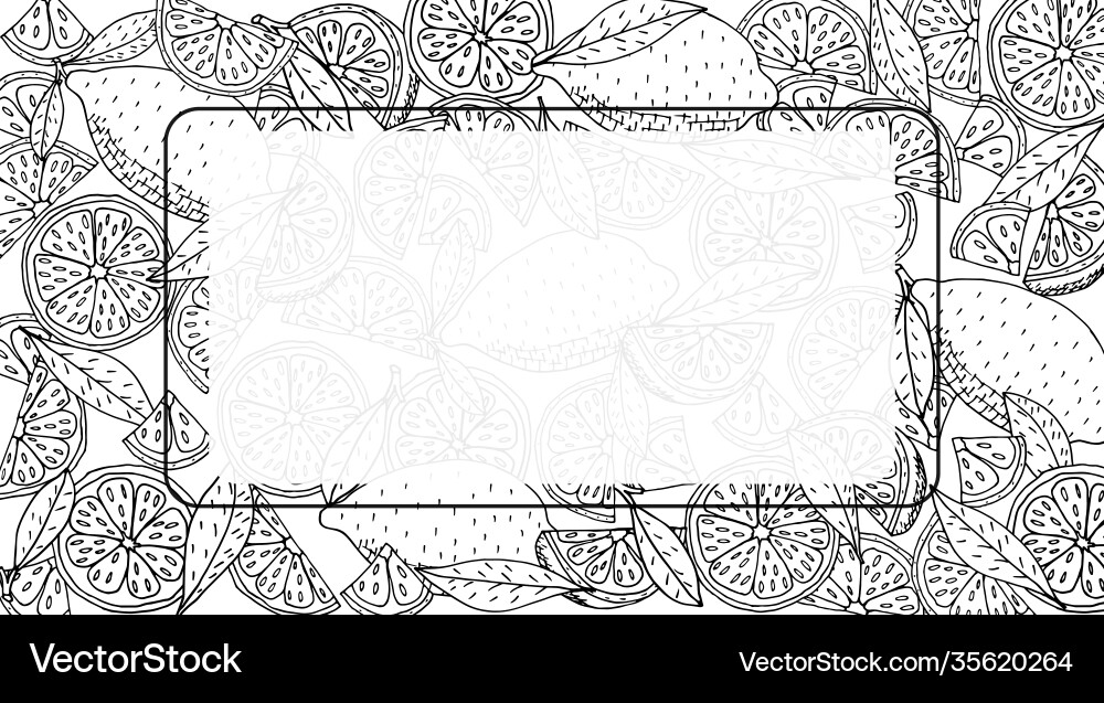 Lemon Slice Frame - Botanical Vector Image