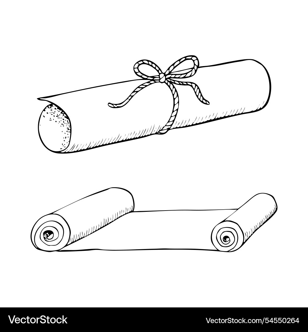 Paper scrolls line sketch set rolled parchment Paper scrolls line sketch set rolled parchment Vector Image
