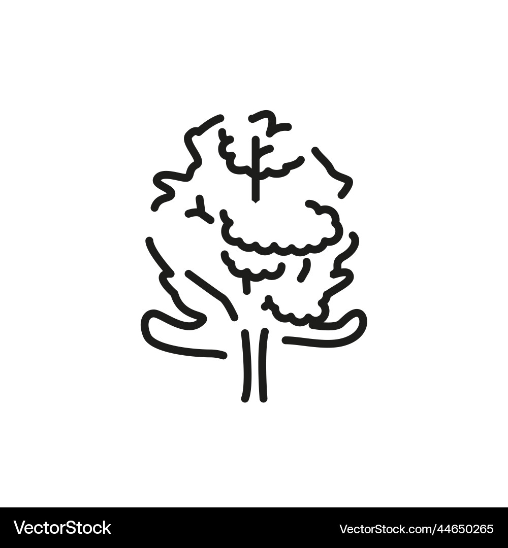 Alder tree color line icon pictogram for web page Vector Image