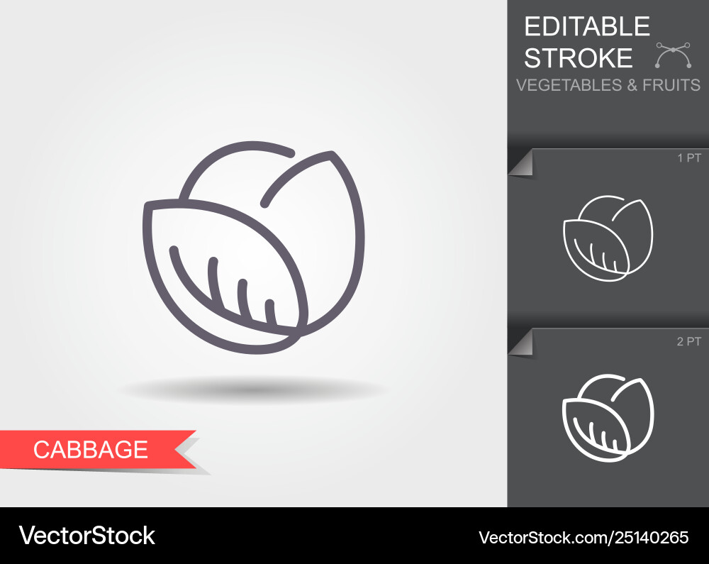 Cabbage Line Icon - Editable Stroke vector image