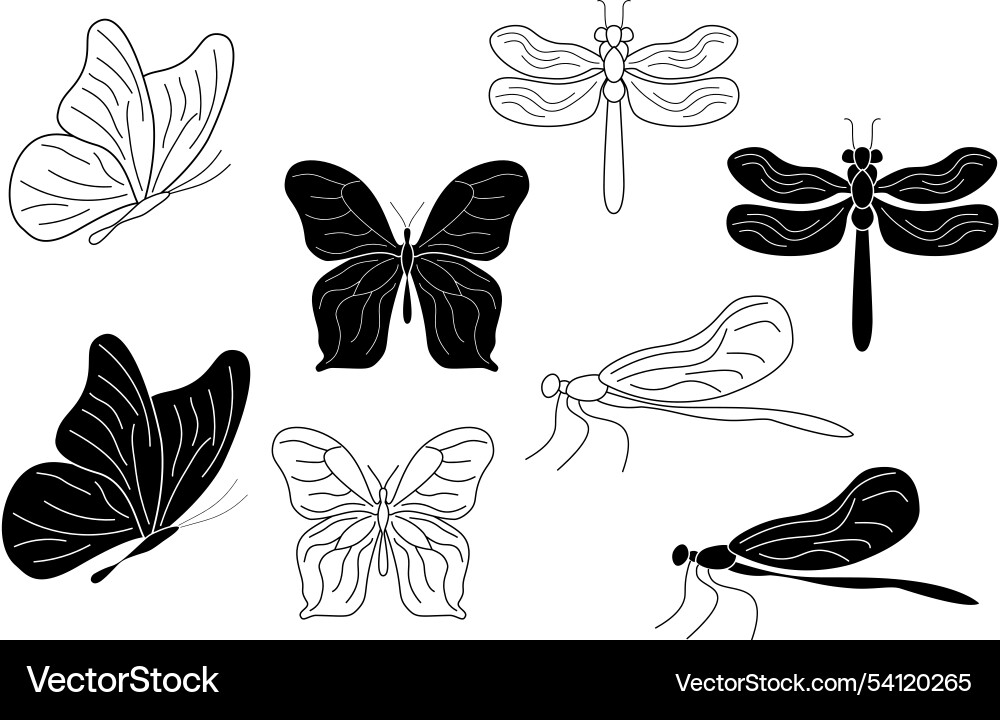 Collection of outline butterflies dragonflies Collection of outline butterflies dragonflies vector image