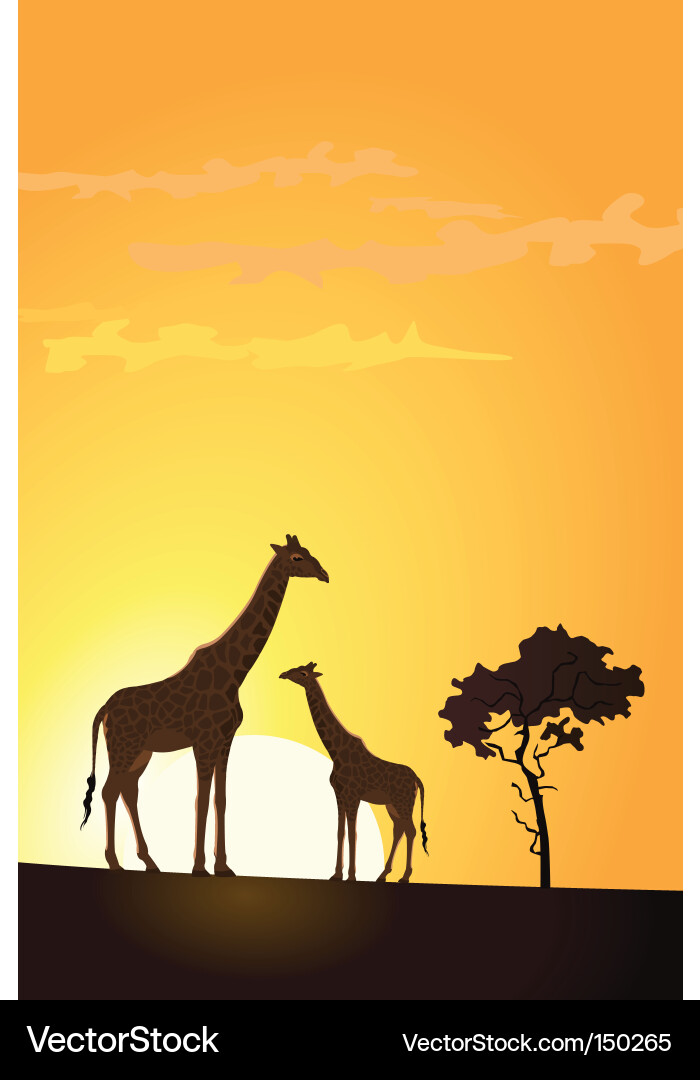 Giraffe silhouette Royalty Free Vector Image - VectorStock