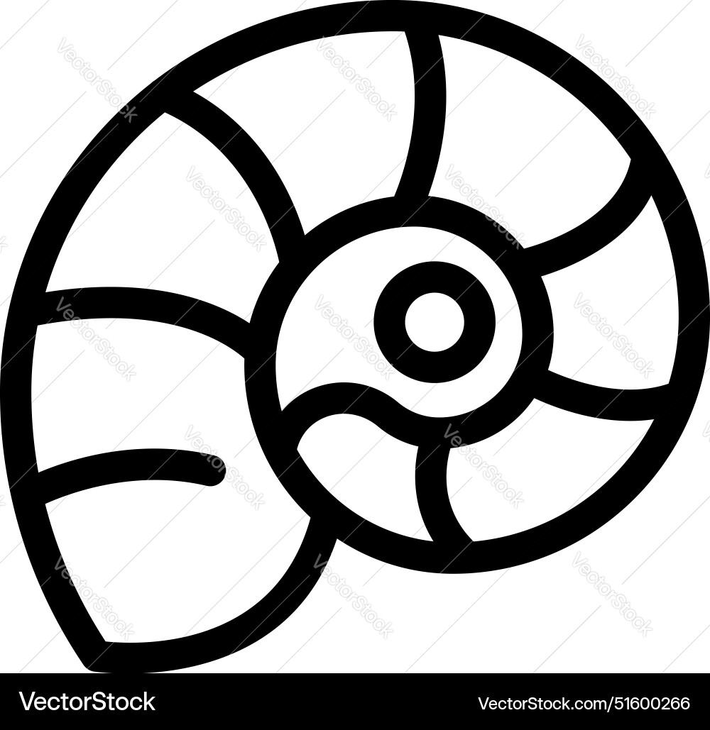 Simple line drawing of a nautilus shell showing Simple line drawing of a nautilus shell showing vector image