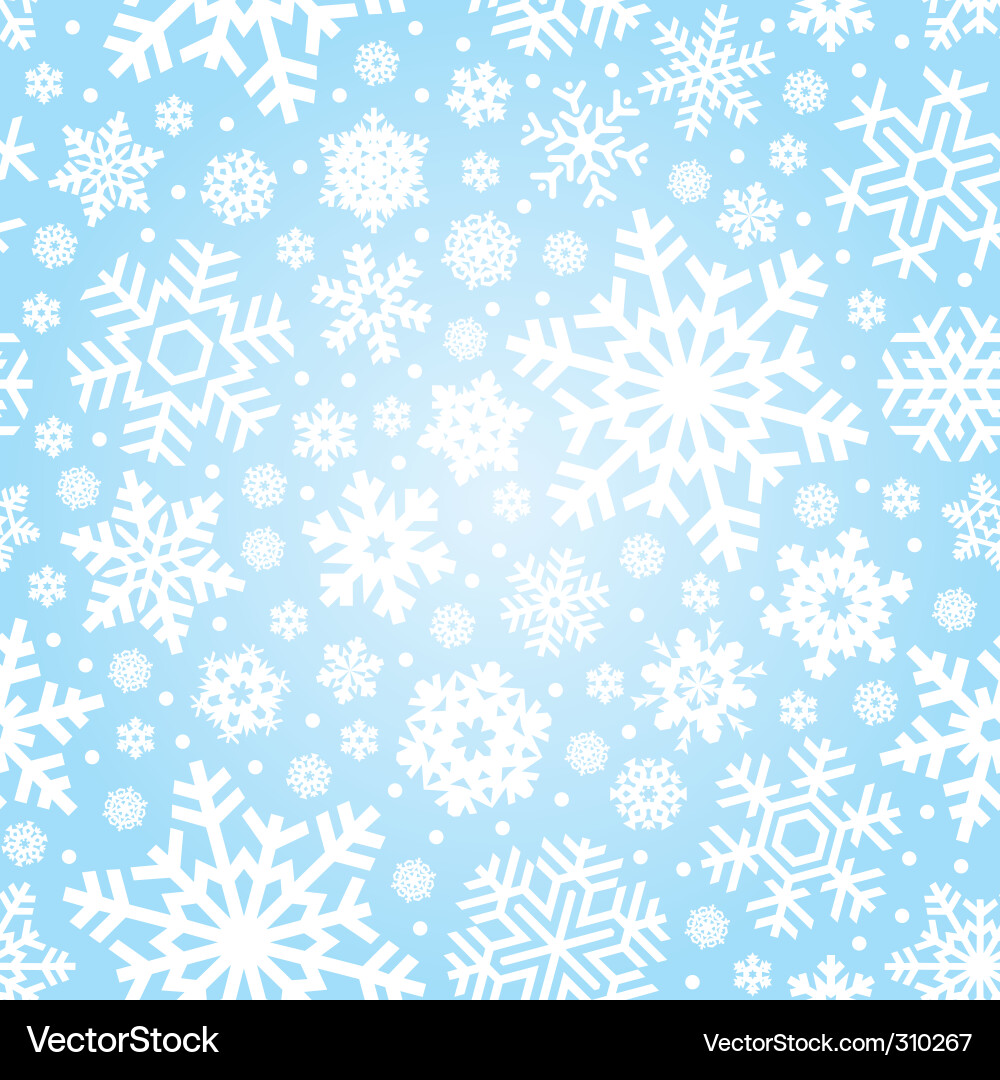 Winter Snowflake Pattern vector image