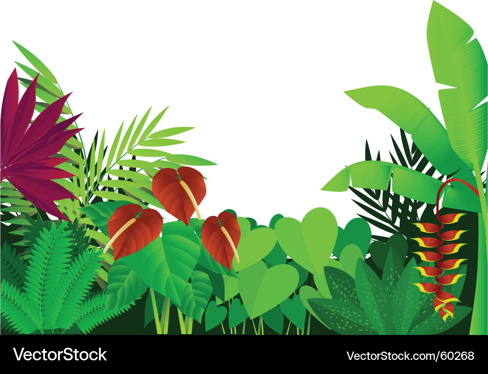Forest Royalty Free Vector Image - VectorStock