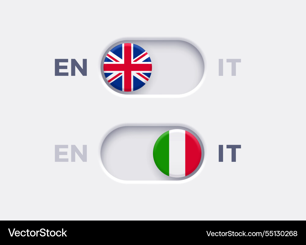 Language mode toggle switch buttons Vector Image