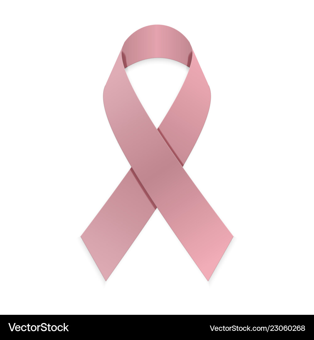 Pink Ribbon Breast Cancer Awareness vector image