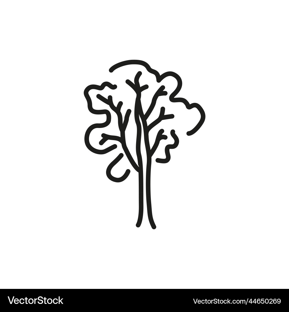 Ash tree color line icon pictogram for web page Vector Image