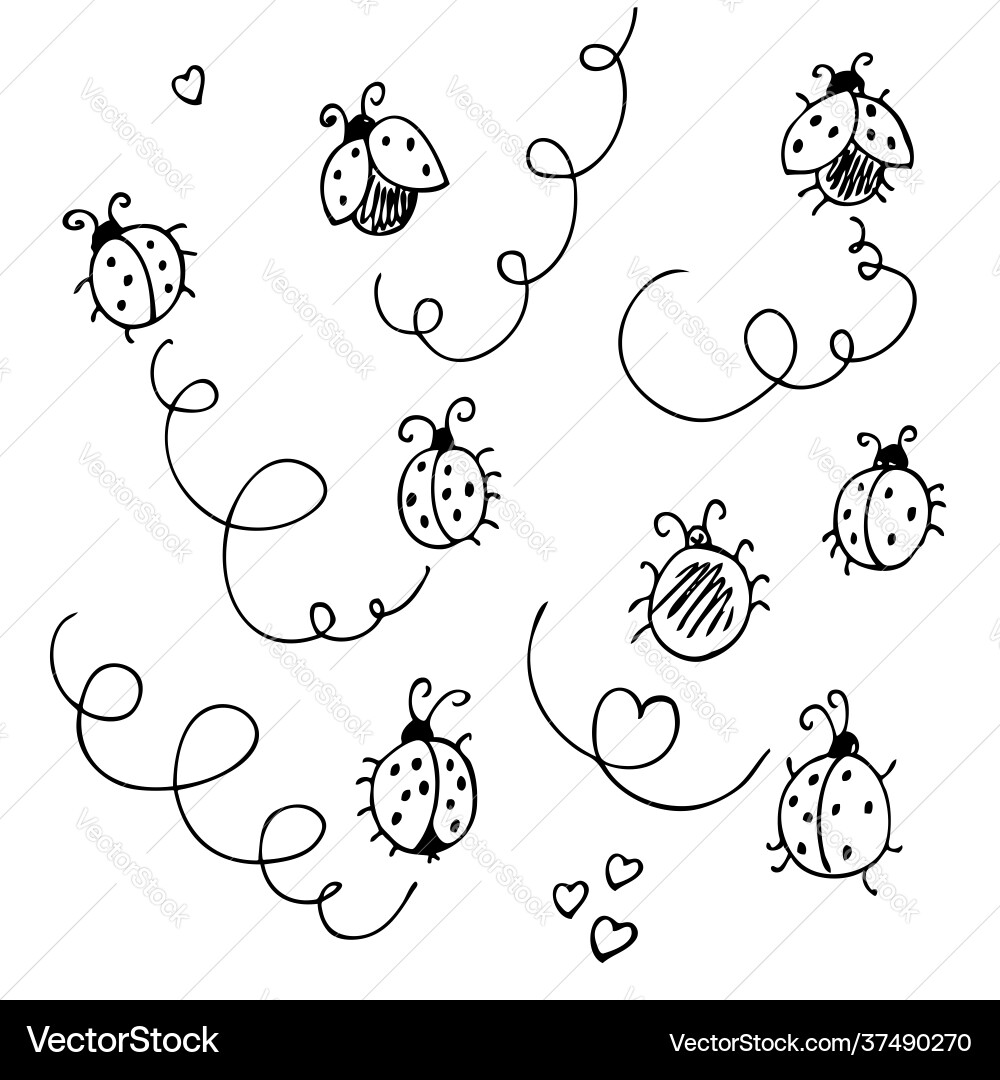 Ladybirds set hand drawn collection funny cute Ladybirds set hand drawn collection funny cute vector image