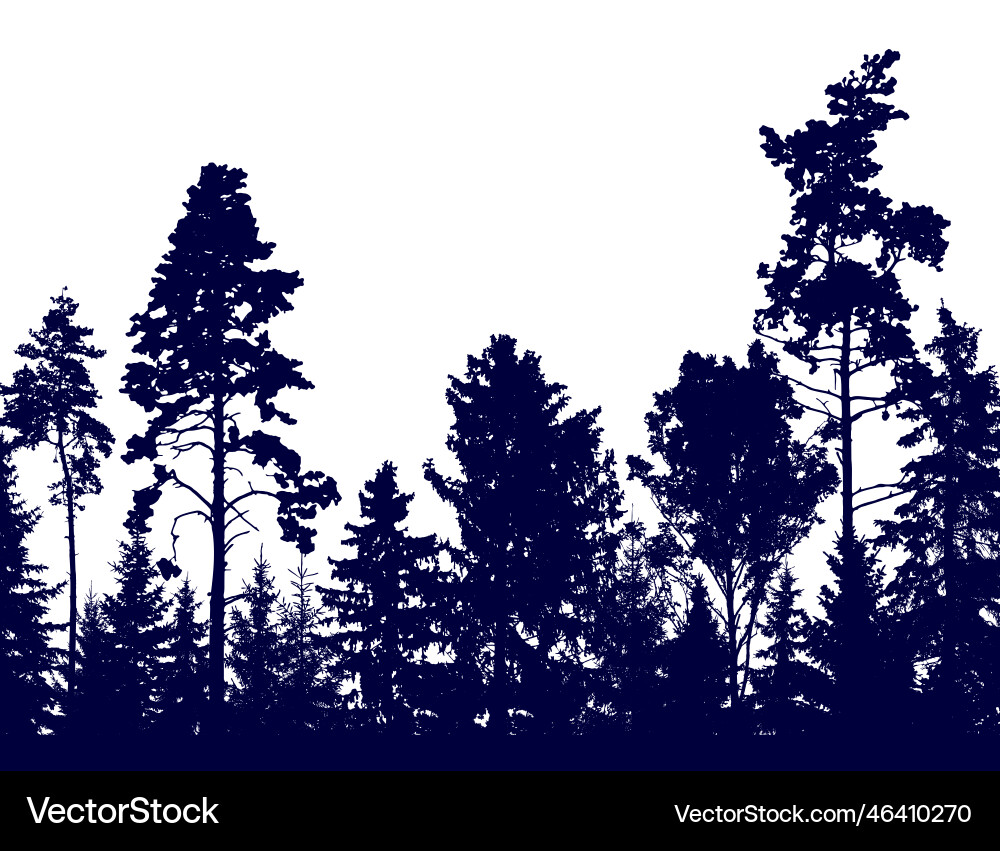 Schöne Waldsilhouette von Firs Pines Schöne Waldsilhouette von Firs Pines vektorbild