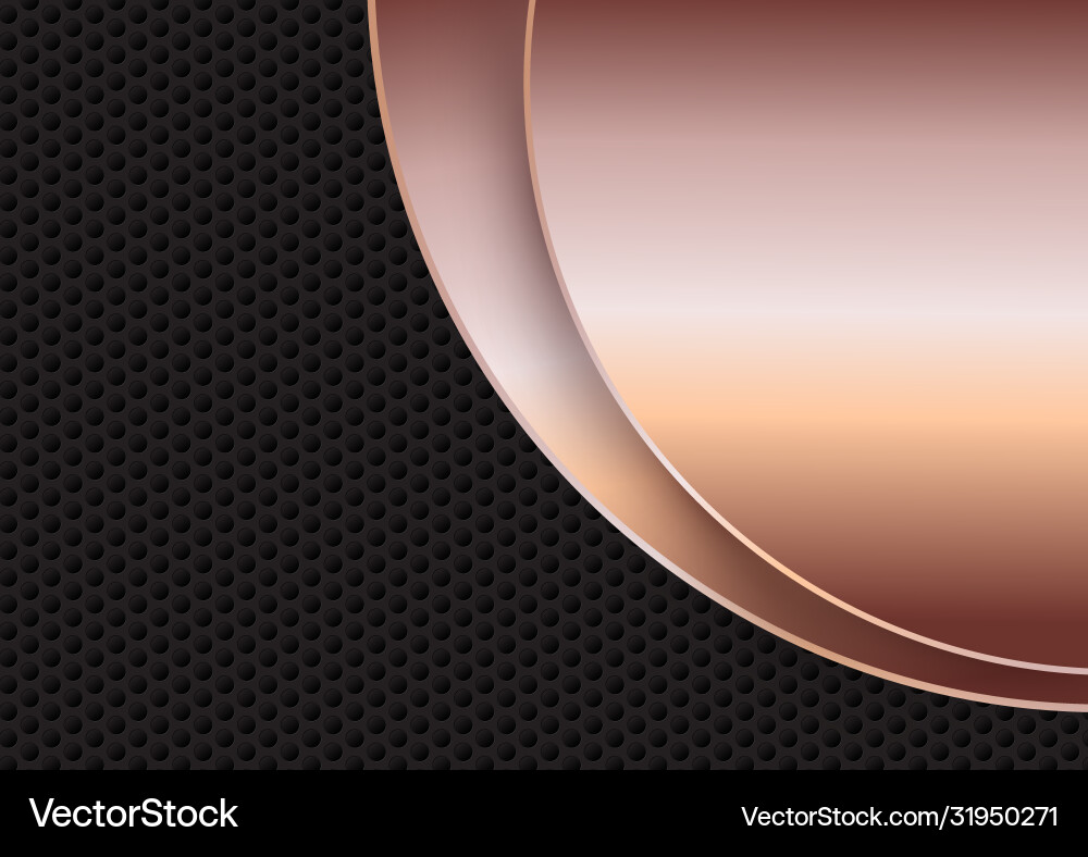Abstract background with metallic textures Vector Image