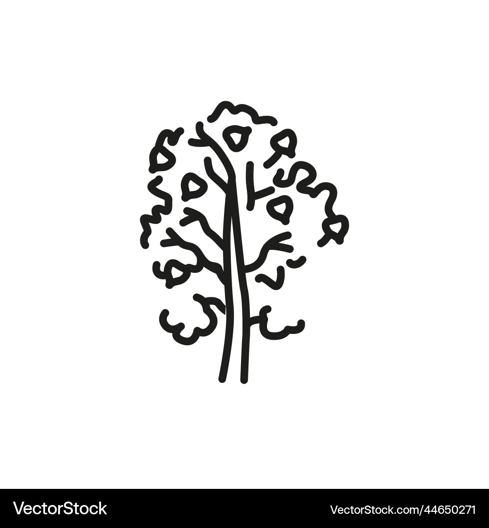 Aspen tree color line icon pictogram for web page Vector Image