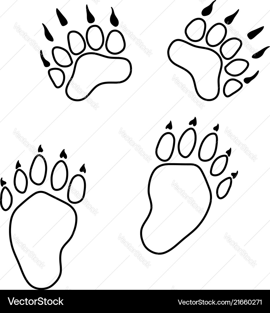 Icon of bear trails Icon of bear trails Vector Image