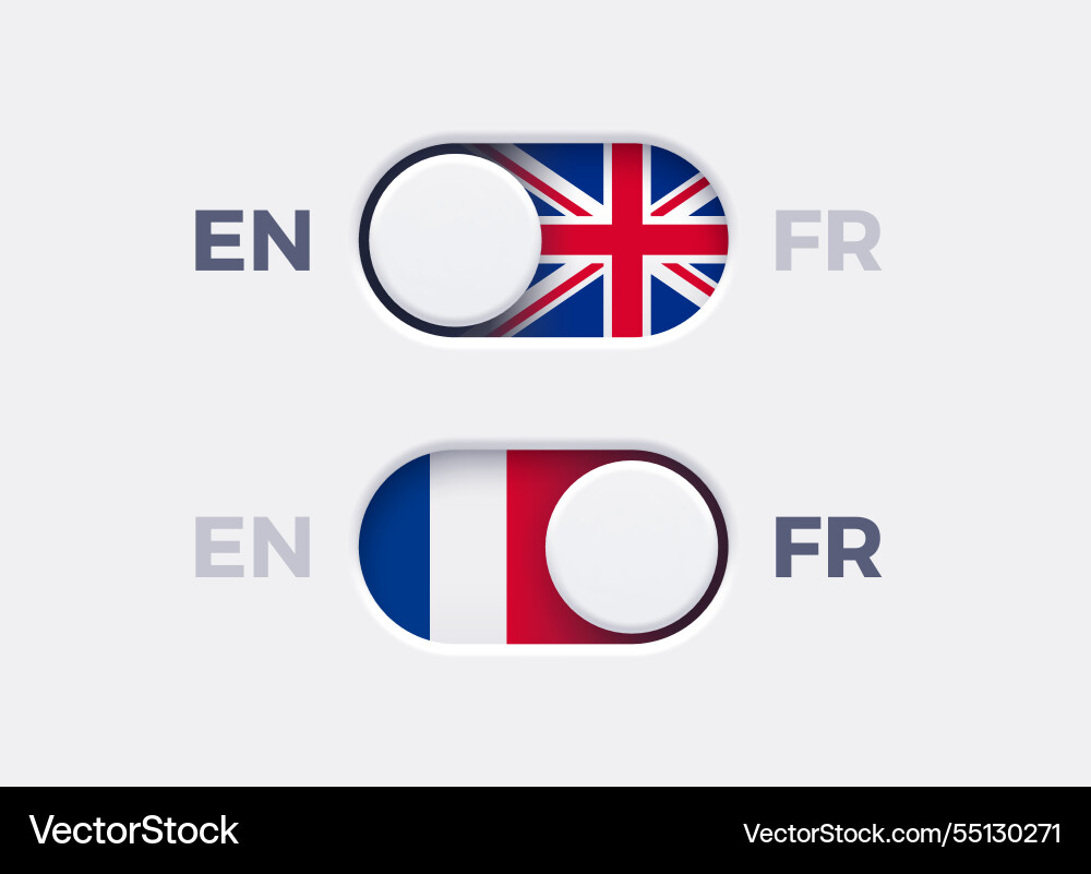 Language mode toggle switch buttons Language mode toggle switch buttons vector image