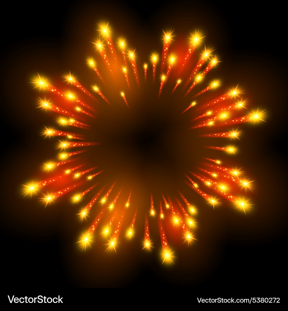 Festive patterned firework bursting in various vector image