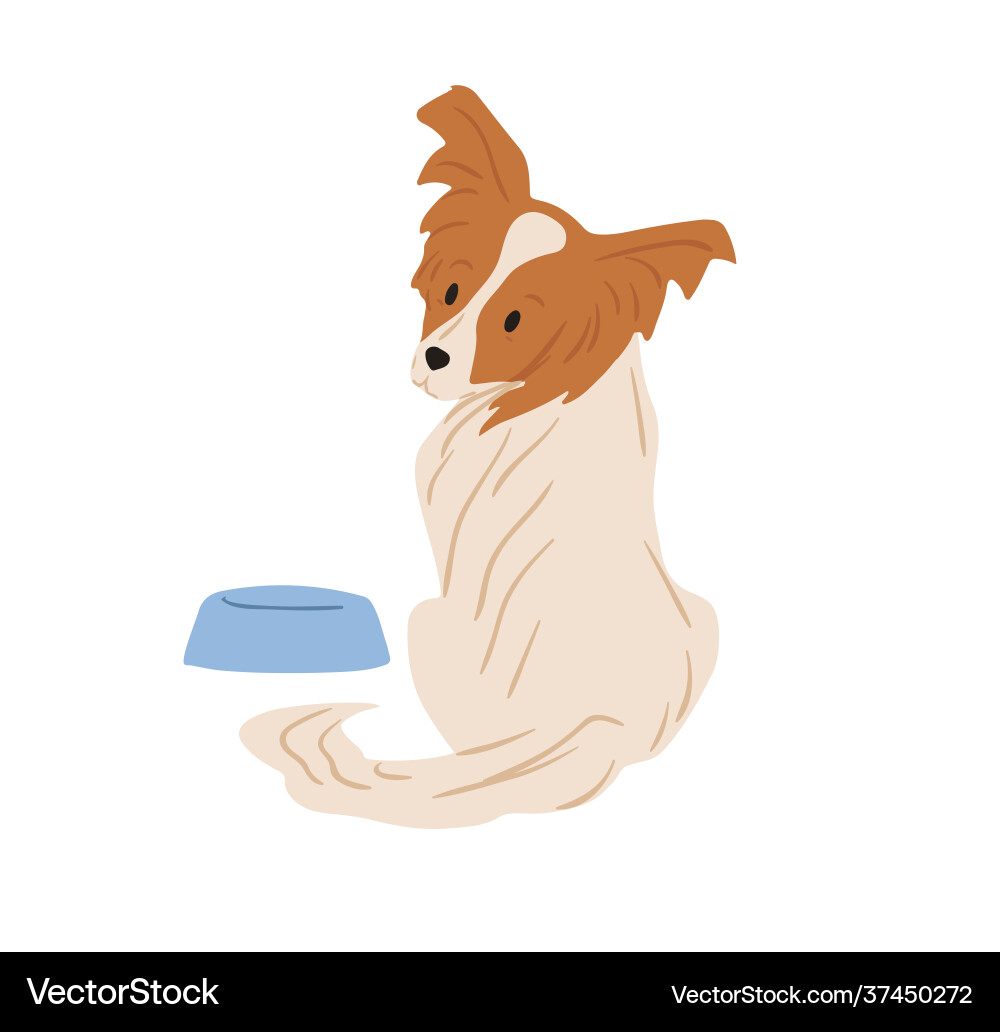 Papillon dog with hairy butterfly-like ears Papillon dog with hairy butterfly-like ears vector image