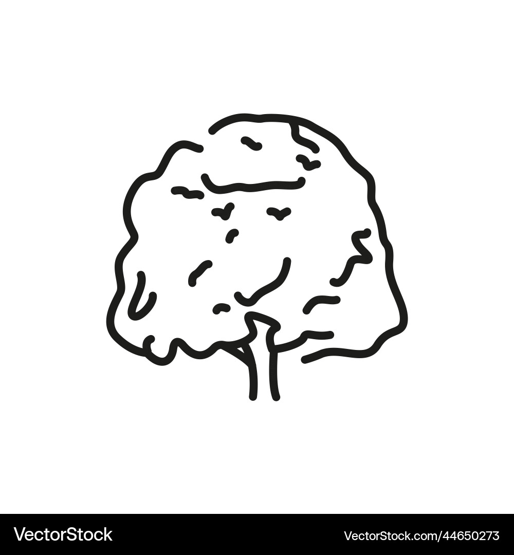 Beech tree color line icon pictogram for web page Vector Image