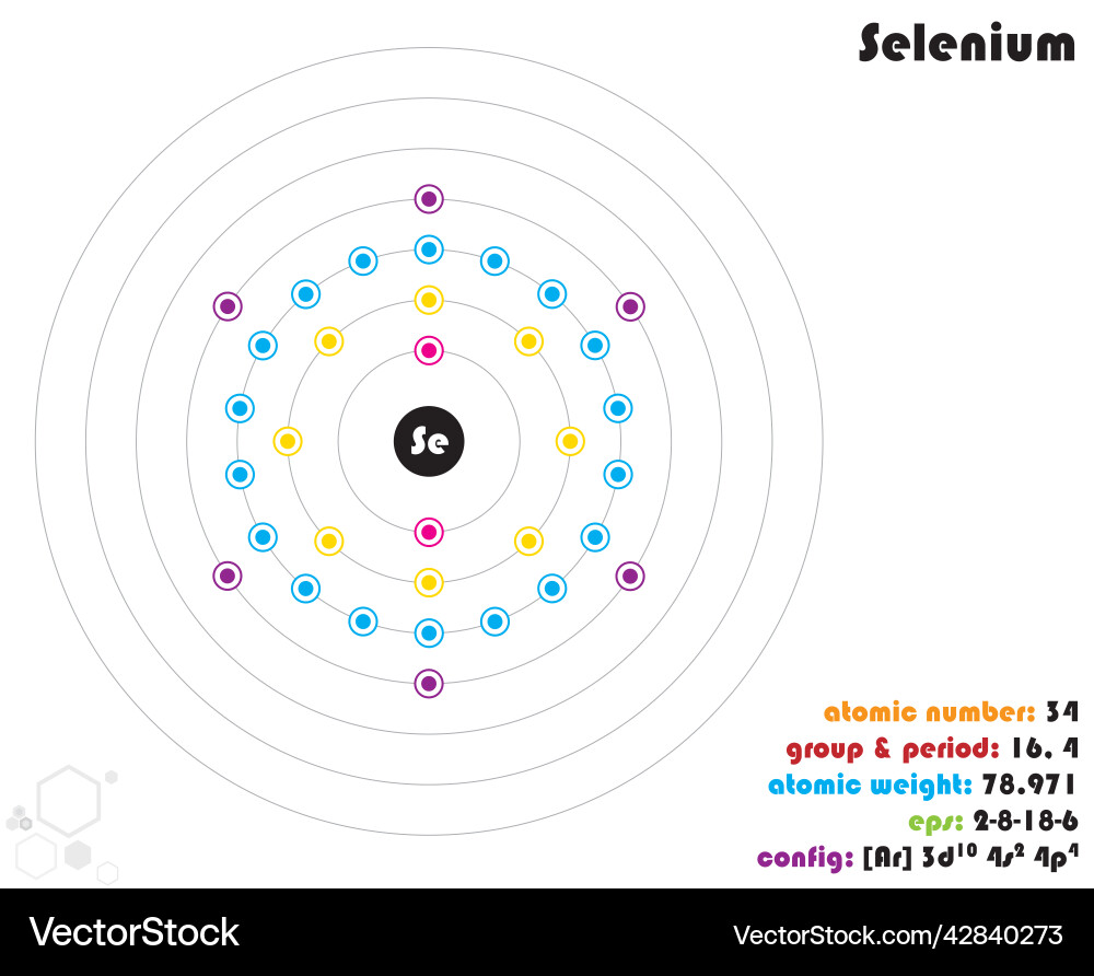 Infografik des Elements Selen Infografik des Elements Selen vektorbild