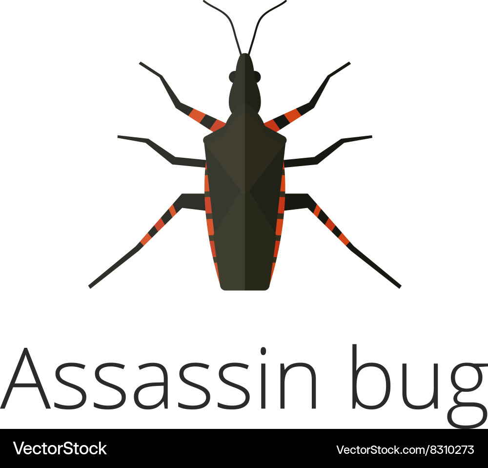 Kissing Bug - Assassin Bug vector image