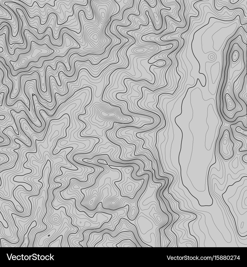 Topographic map background with space for copy vector image