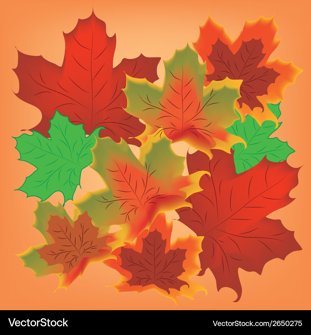 A group textured leafs in pattern Vector Image