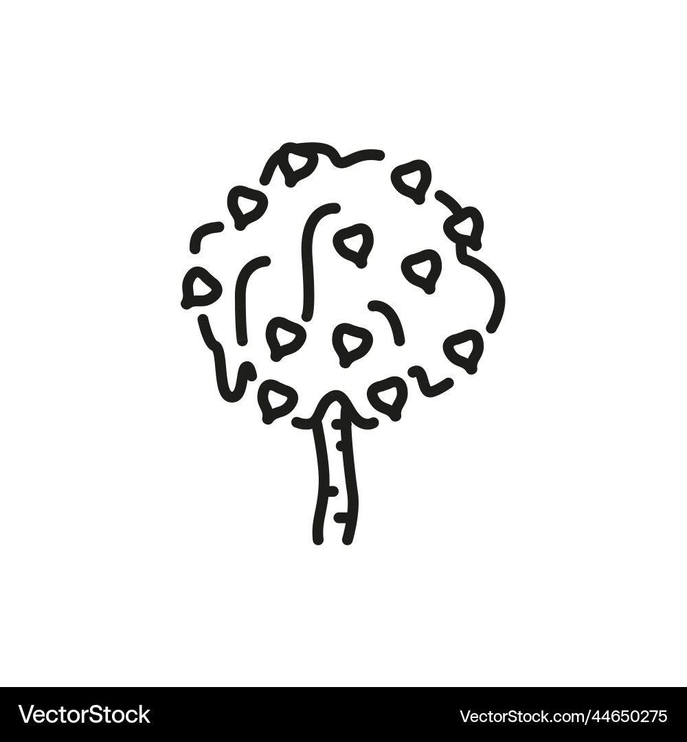 Birch tree color line icon pictogram for web page vector image
