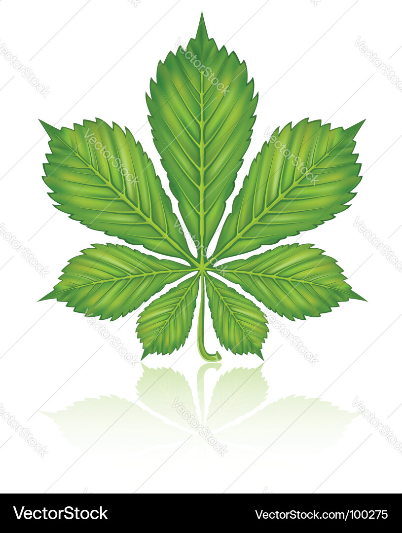 Nature background Vector Image